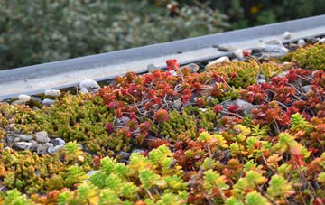 the cost of Trimingham green roof installation
