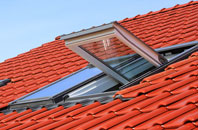 Trimingham roof window